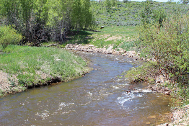 Chedsey Creek Ranch - Colorado Ranch Company