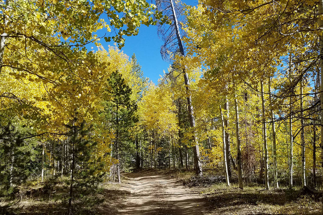 Yarmony Mountain Ranch - Colorado Ranch Company